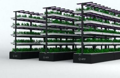 Вертикальные агро-фермы как бизнес-идея